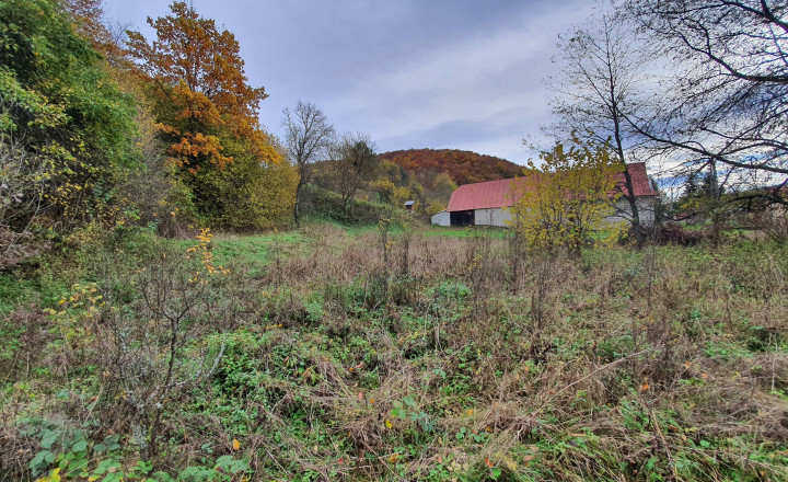 Pozemok Nižná Pisaná - fotografia 1