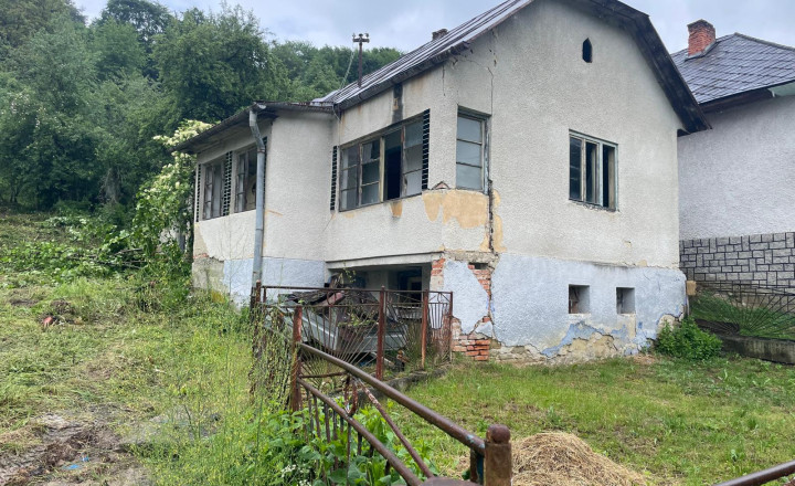 NA PREDAJ – VEĽKÝ POZEMOK SO STARÝM DOMOM / SADOM – KOBYLNICE - fotografia 1